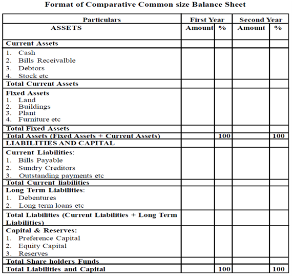 Common Size Financial Statements Accounting Basics 9467